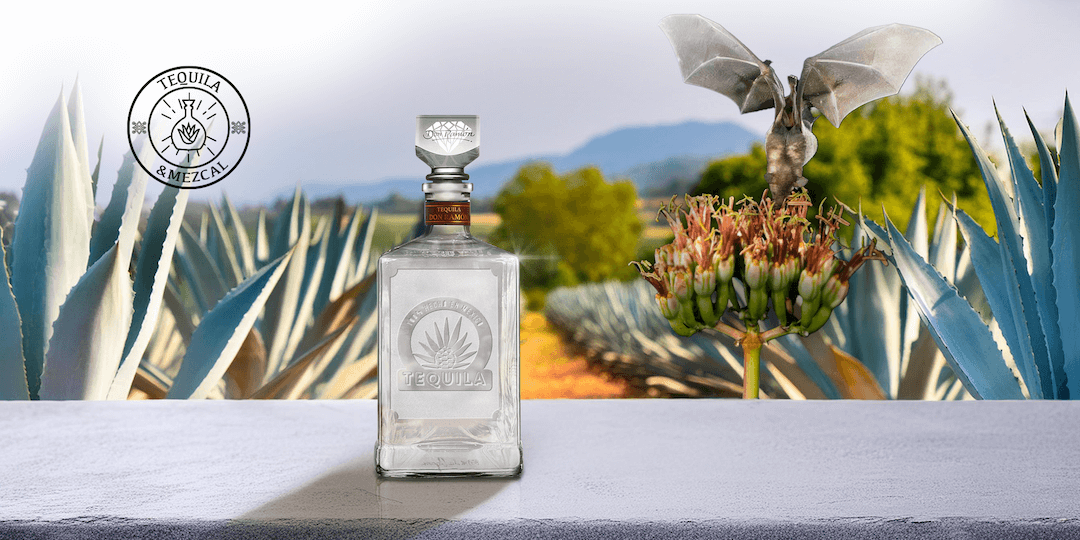 como ayudan los murcielagos a la produccion de tequila